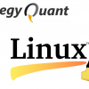 Instalace programu StrategyQuant pod Linuxem
